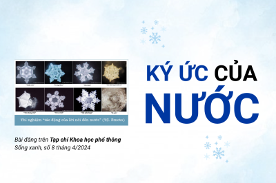 Ký ức của nước