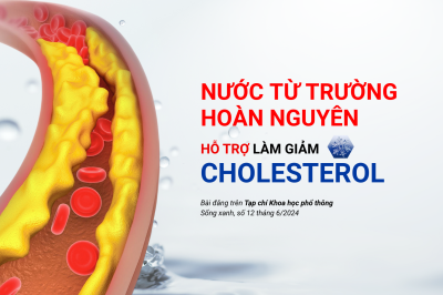 Nước từ trường hoàn nguyên hỗ trợ làm giảm Cholesterol